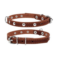 Нашийник для тварин Collar одинарний з прикрасами Ш 14 мм Д 27-35 см коричневий (00046)