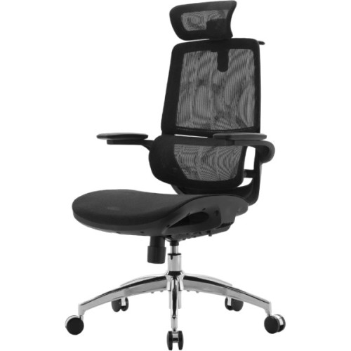 Офісне крісло Sihoo M59AS Mesh Black (M59AS-M302)