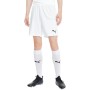 Шорти Puma teamGOAL 23 knit Shorts 704262-04 білий S (4062451180621)