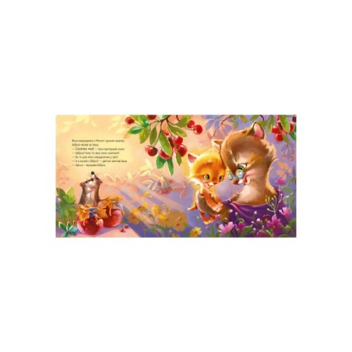 Книга Кошеня і Сонечко - Єва Сольська Ранок (9786170958808)