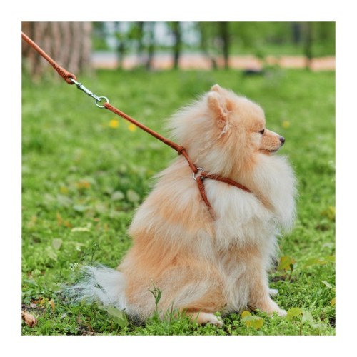 Шлея для собак WAUDOG Soft з QR паспортом кругла Д 6 мм А 42-60 см В 46-64 см коричнева (46206)