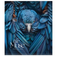 Зошит Школярик THE MUSE 60 аркушів клітинка (060-3444K)