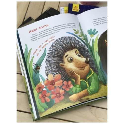 Книга Пан Їжак. Зірки Pro - О. Потапенко Ранок (9786170941145)