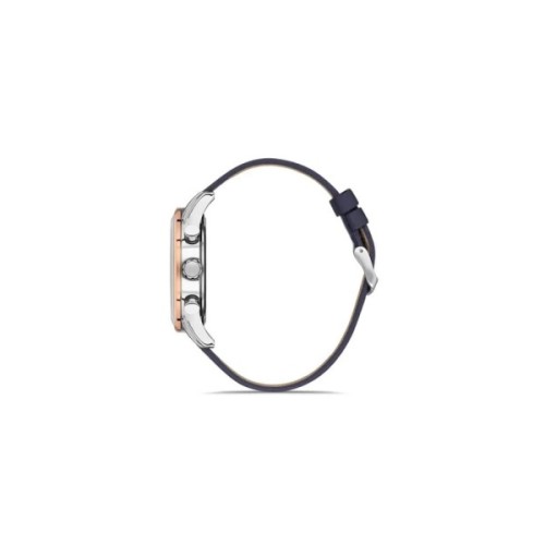 Наручний годинник Ferro FM11025B-E3