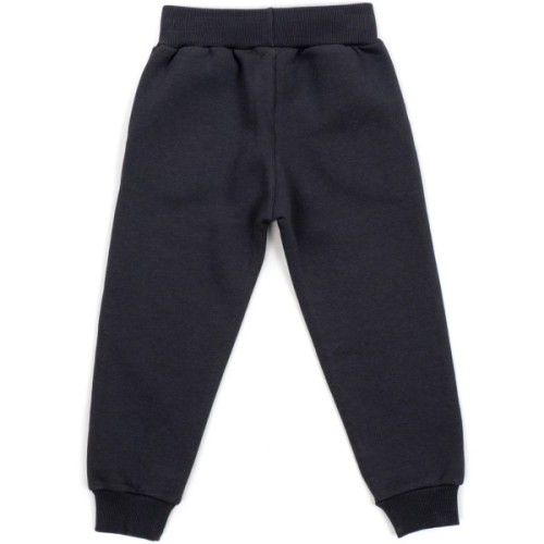 Спортивний костюм дитячий Smile флісовий (23219-110B-beige)