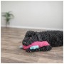 Іграшка для собак Trixie Морський коник 28 см рожева (4011905858159)