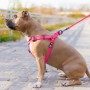 Шлея для собак WAUDOG Waterproof з QR-паспортом L Ш 25 мм Д 60-90 см рожева (27677)