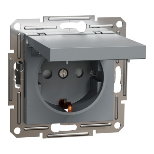 Розетка Schneider Electric ASFORA з кришкою, сталь (EPH3100162)