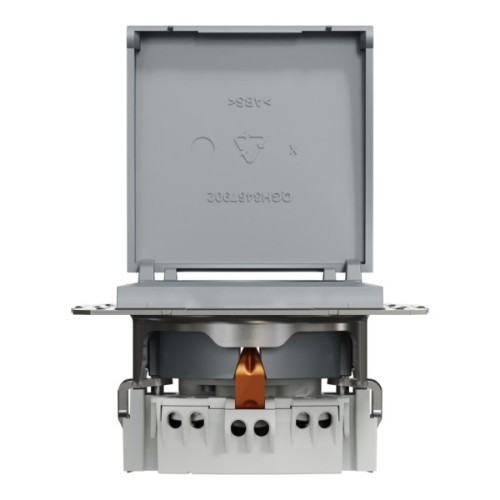 Розетка Schneider Electric ASFORA з кришкою, сталь (EPH3100162)