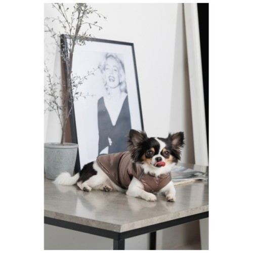 Жилет для тварин Pet Fashion Hardy М2 (4823082437467)