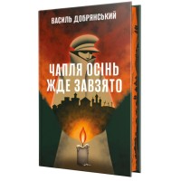 Книга Чапля осінь жде завзято - Василь Добрянський Видавництво РМ (9786178639730)