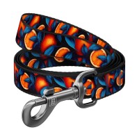 Повідець для собак WAUDOG Nylon "Апельсини" M, Ш 20 мм, Д 200 см (757-4054)