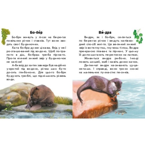 Книга Читаю про Україну. Тварини річок та морів - Ю.В. Каспарова Ранок (9786170981394)