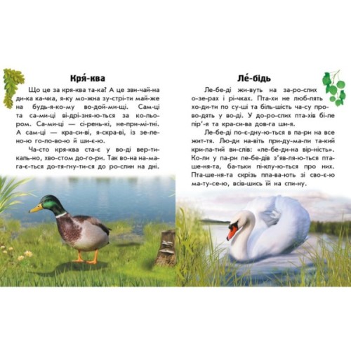 Книга Читаю про Україну. Тварини річок та морів - Ю.В. Каспарова Ранок (9786170981394)