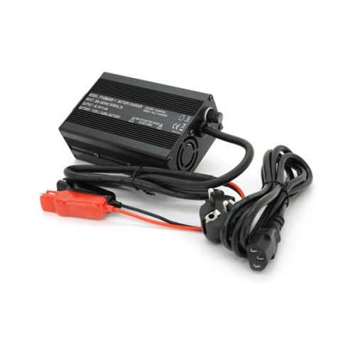 Мережевий зарядний пристрій для АКБ Voltronic LiFePo4 36V(43.8V), 12S, 6A (FY4386000-1)