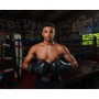 Боксерські рукавички Title Boxing Vegan Gloves Black 14 oz (VGFBG 14 oz BK/BK)
