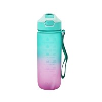 Пляшка для води Gusto Went зелено-фіолетова 750 мл (GT-699016-750)