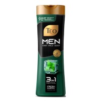 Шампунь Teo Beauty Men 3 in 1 Menthol 350 мл (3800024046797)
