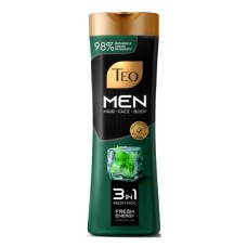 Шампунь Teo Beauty Men 3 in 1 Menthol 350 мл (3800024046797)