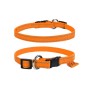 Нашийник для тварин Dog Extreme з нейлону регульований Ш 10 мм Д 20-30 см помаранчевий (42844)
