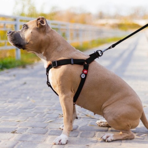 Шлея для собак WAUDOG Waterproof з QR-паспортом L Ш 25 мм Д 60-90 см чорна (27671)