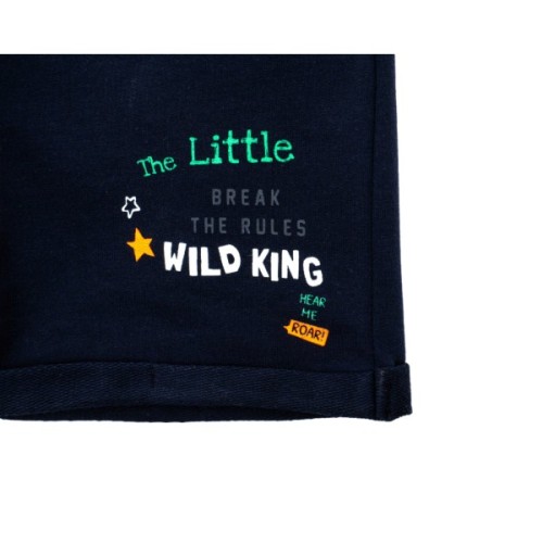 Набір дитячого одягу Breeze з тигриком (19742-98B-gray)