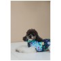 Жилет для тварин Pet Fashion Grass XS (4823082435913)