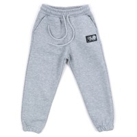 Штани дитячі Cloise флісові (CL0154024-104G-gray)
