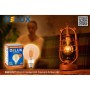 Лампочка Delux Globe G95 6Вт E27 2700К amber filament (90016727)