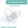 Пустушка Chicco Physio Comfort силіконова від 2 до 6 місяців 2шт. (блакитна) (74931.21.00)