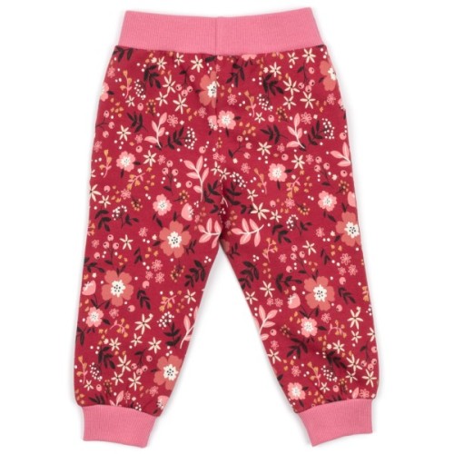 Набір дитячого одягу Breeze на флісі (17306-86G-red)