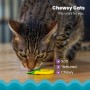 Іграшка для котів Catstages Лимон для жування з ароматом м'яти (0700603720977)