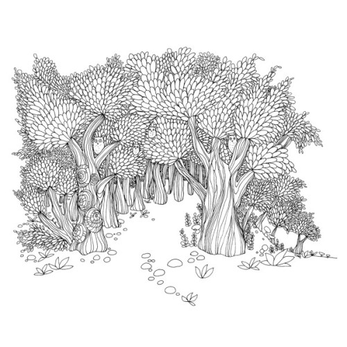 Книга Дива мальовничих світів - Анґеліка Штубнер Жорж (9786178023713)