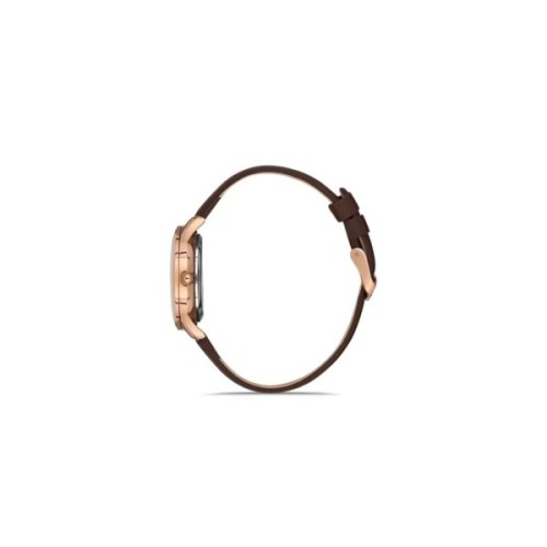 Наручний годинник Ferro F21182B-S