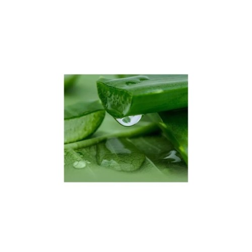 Маска для обличчя Lululun Premium Face Mask Okinawa Aloe Заспокійлива з екстрактом алое 1 шт х 5 уп (4582305069532)