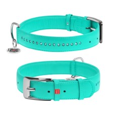 Нашийник для тварин WAUDOG Glamour з QR-паспортом, подвійний Ш 35 мм Д 46-60 см ментоловий (388213)