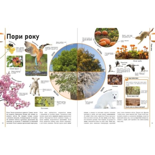 Книга Енциклопедія про все. Наш світ у малюнках Ранок (9786170987754)