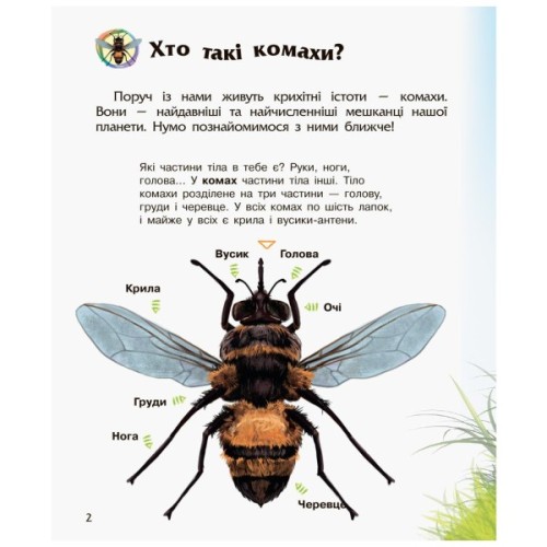 Книга Комахи. Енциклопедія дошкільника - Ю.В. Каспарова Ранок (9786170937292)