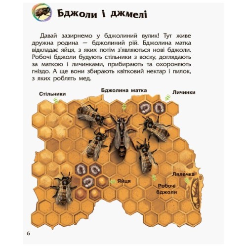 Книга Комахи. Енциклопедія дошкільника - Ю.В. Каспарова Ранок (9786170937292)