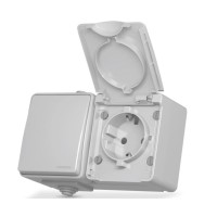 Вимикач Videx BINERA IP65 зовнішня 1ая із заземленням (VF-BNW3-G)