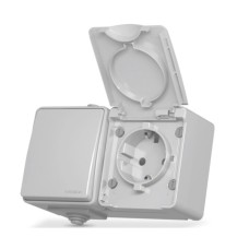 Вимикач Videx BINERA IP65 зовнішня 1ая із заземленням (VF-BNW3-G)
