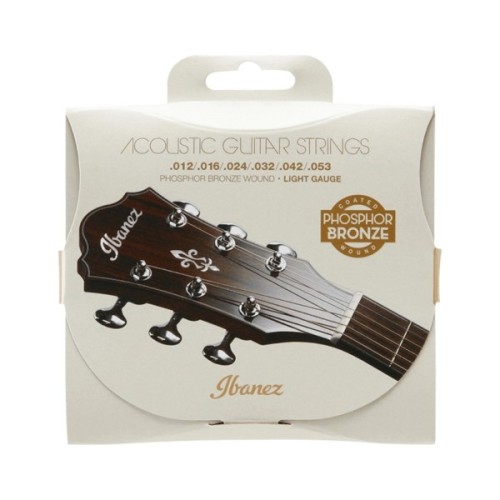 Струни для гітари Ibanez IACSP6C Acoustic Guitar Strings 12-53 (301877)