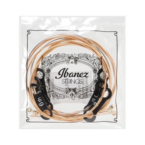 Струни для гітари Ibanez IACSP6C Acoustic Guitar Strings 12-53 (301877)