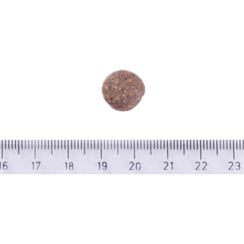 Сухий корм для собак Brit Care Dog Grain-free Adult для малих і середніх порід з лососем 1 кг (8595602558858)