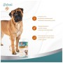 Вітаміни для собак 8in1 Excel Glucosamine + MSM для суглобів 55 шт (4048422184157)