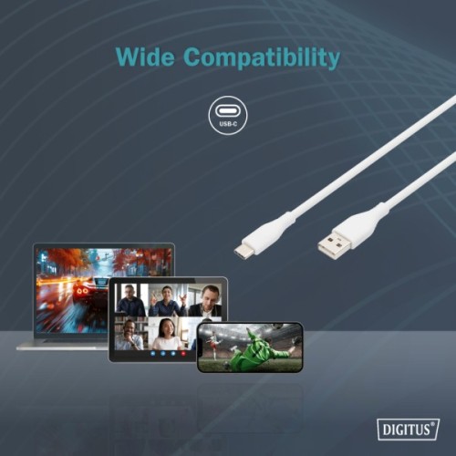 Дата кабель USB 2.0 AM to USB-C 1.0m 60W white Digitus (AK-300340-010-W)