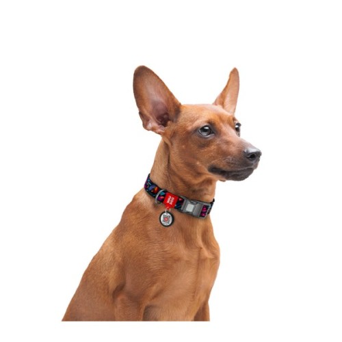 Нашийник для тварин WAUDOG Nylon з QR паспортом "Нескінченні світи" пластиковий фастекс XXL (284-4058)