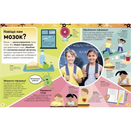 Книга Карколомний мозок. Імпульсивні нейрони, мінливі синапси, хвостаті аксони - Ліам Дрю Ранок (9786170973856)