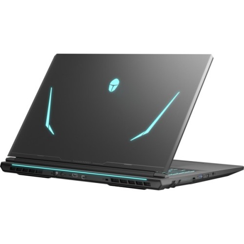 Ноутбук Thunderobot 911 X17 (911X17-i7136H56C1Q165MB)