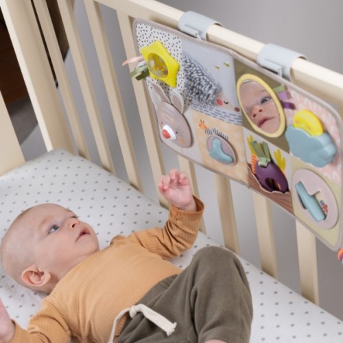 Розвиваюча іграшка Taf Toys центр для ліжечка - Пізнай світ (13115)